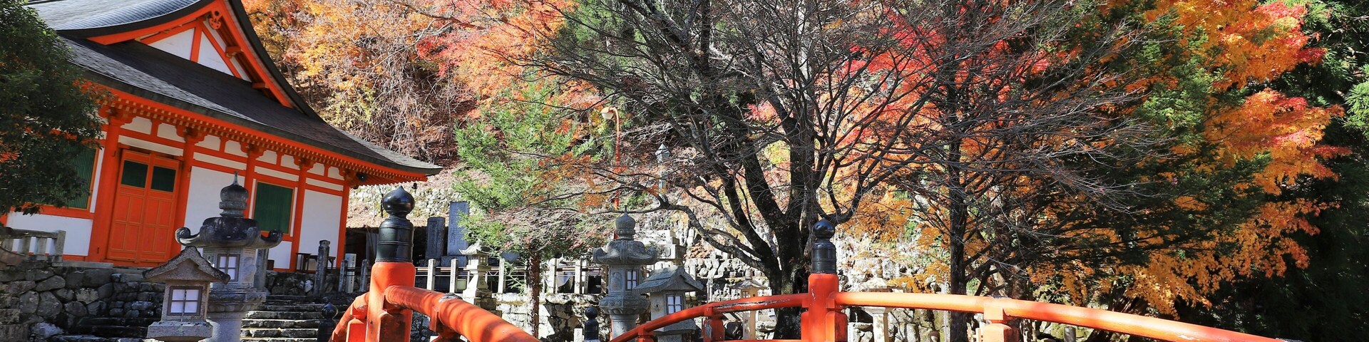 奈良県 天川村龍泉寺の紅葉