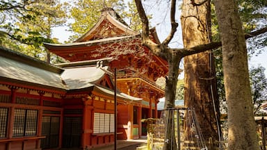 茨城 鹿島神宮の楼門