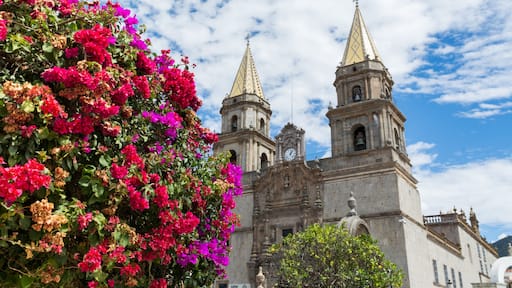 塔爾帕德阿言德