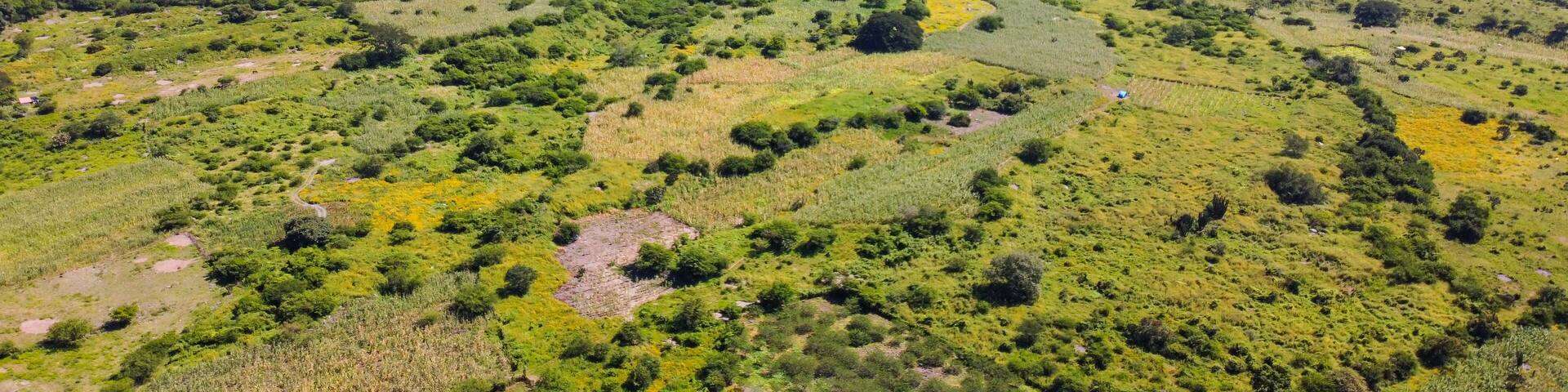manantiales de Zacualpan