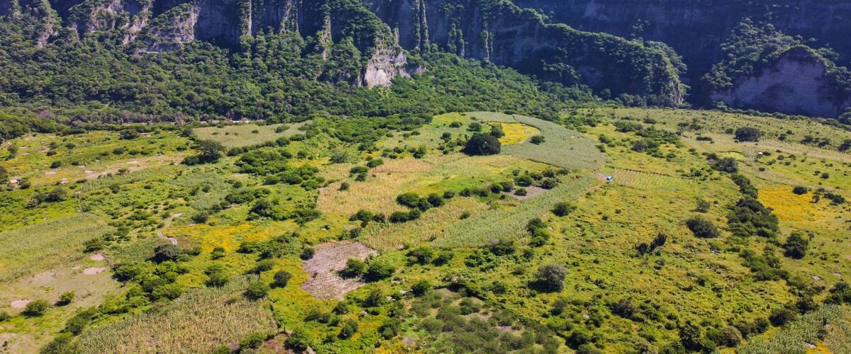 A lush valley with terraced fields and a mountain range in the background.