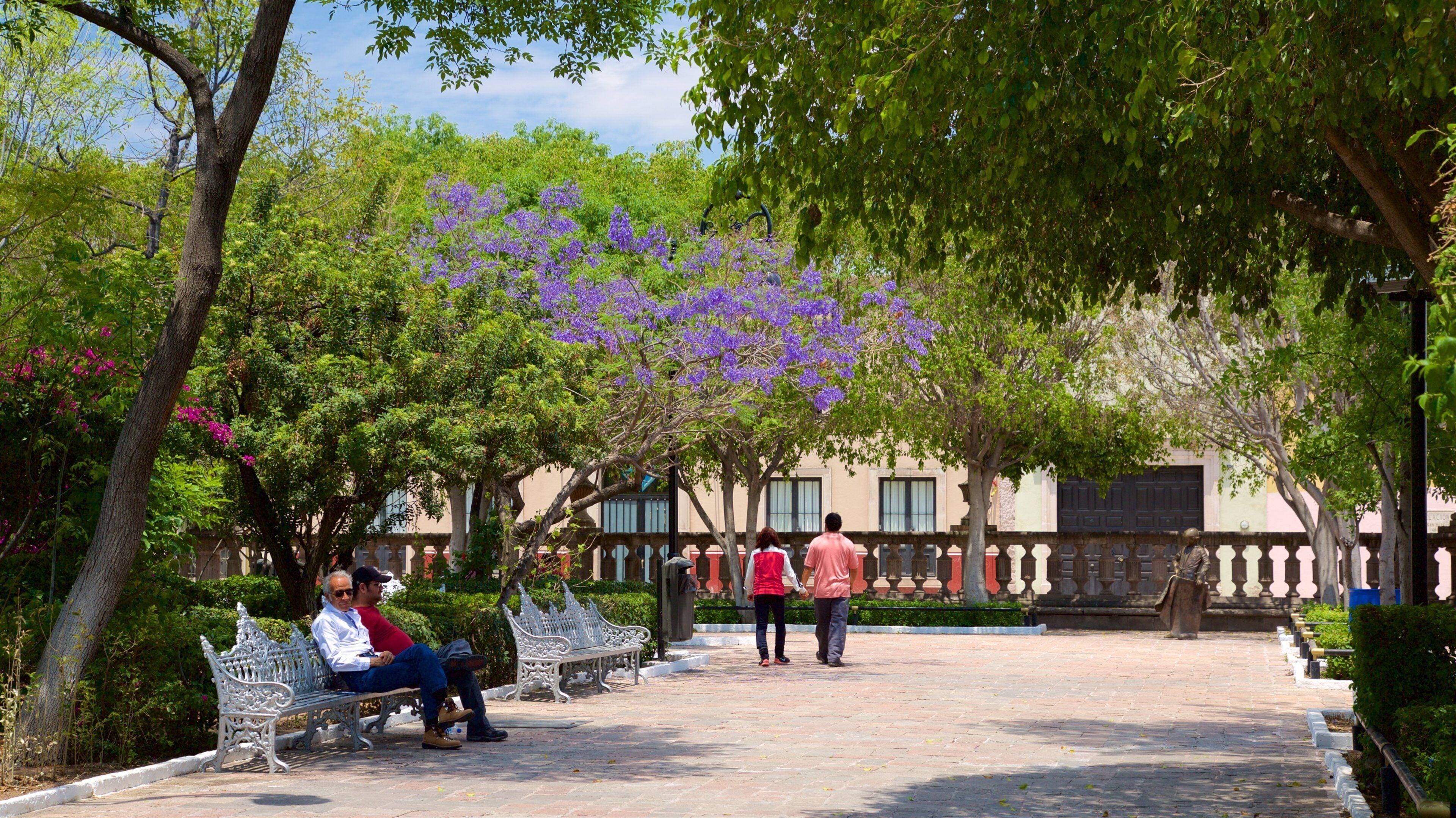 San Marcos which includes a garden as well as a couple