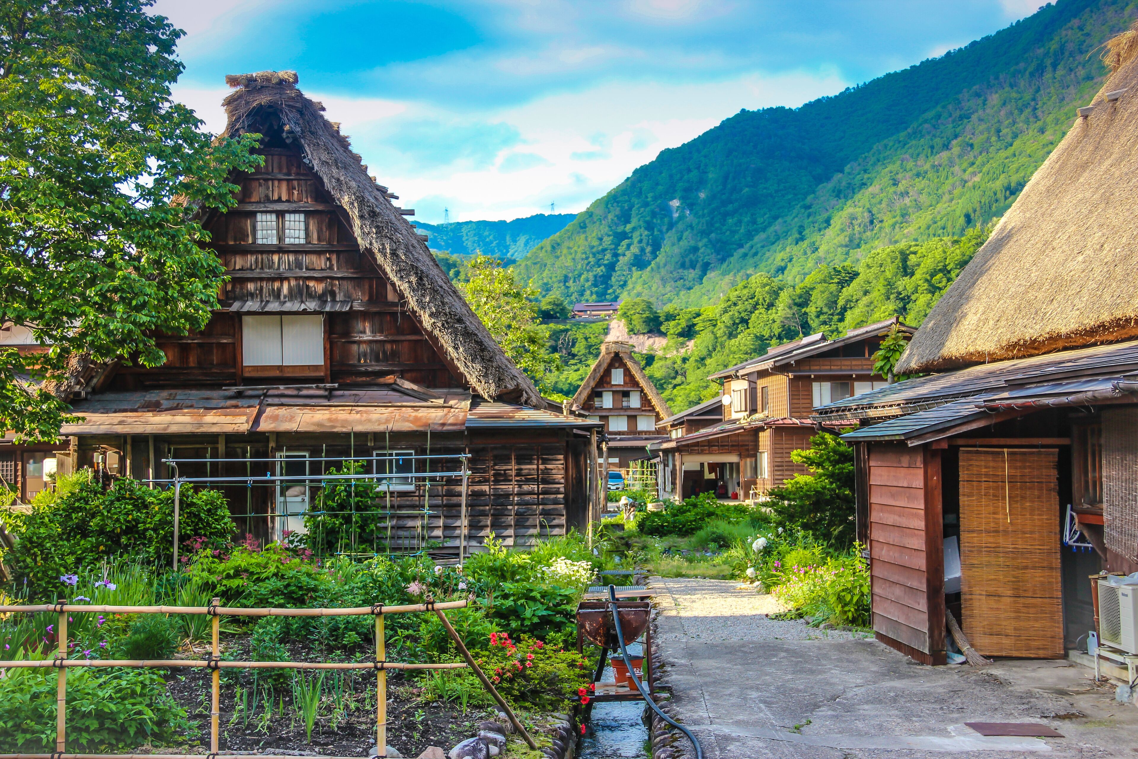 Casas de madeira tradicionais com telhados de palha, um jardim com diversas plantas e montanhas ao fundo.