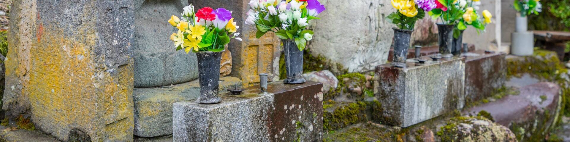 Gokayama featuring flowers and heritage elements