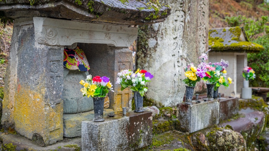 Gokayama featuring flowers and heritage elements