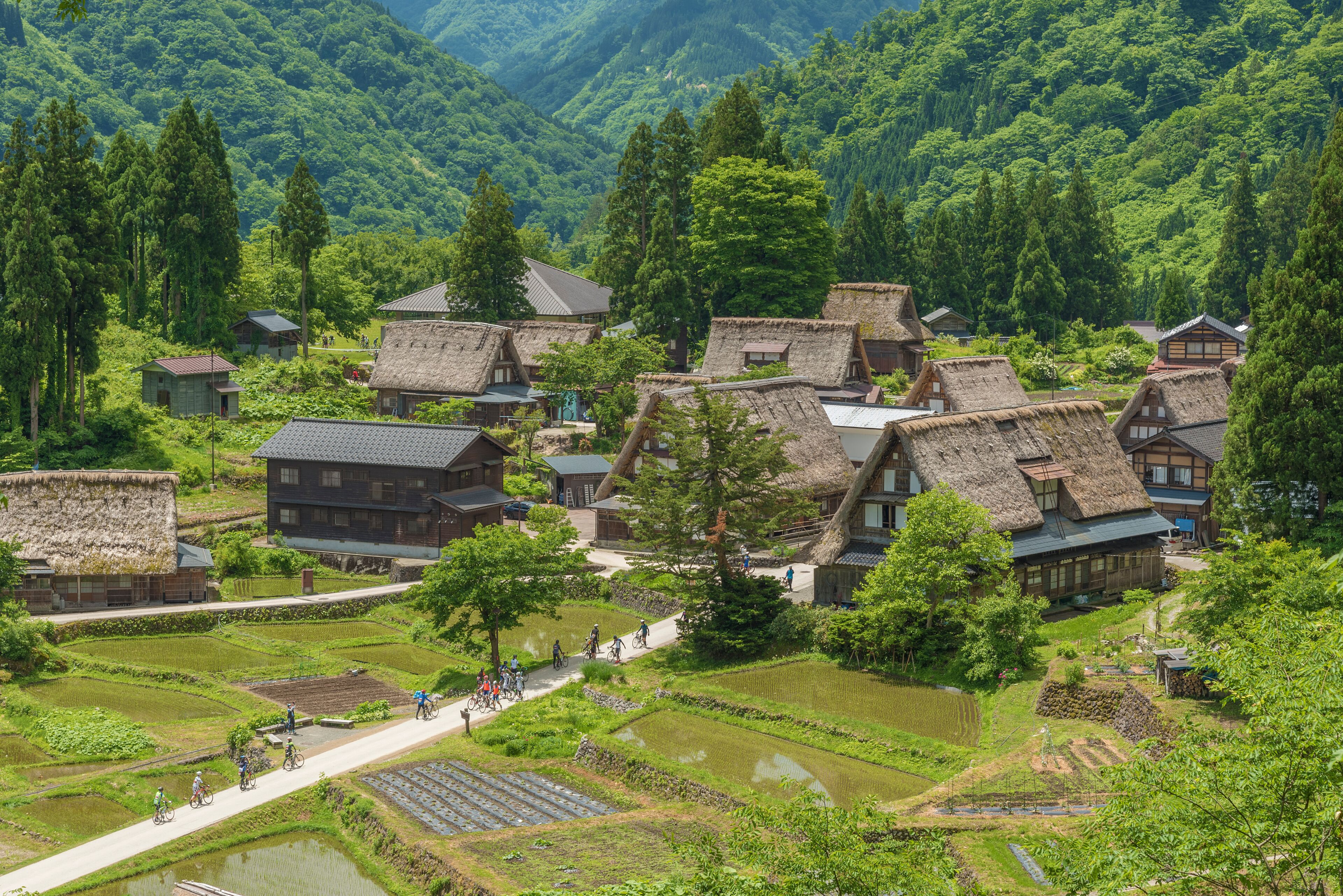 A village with traditional thatched-roof houses, terraced rice fields, and a mountainous backdrop.
