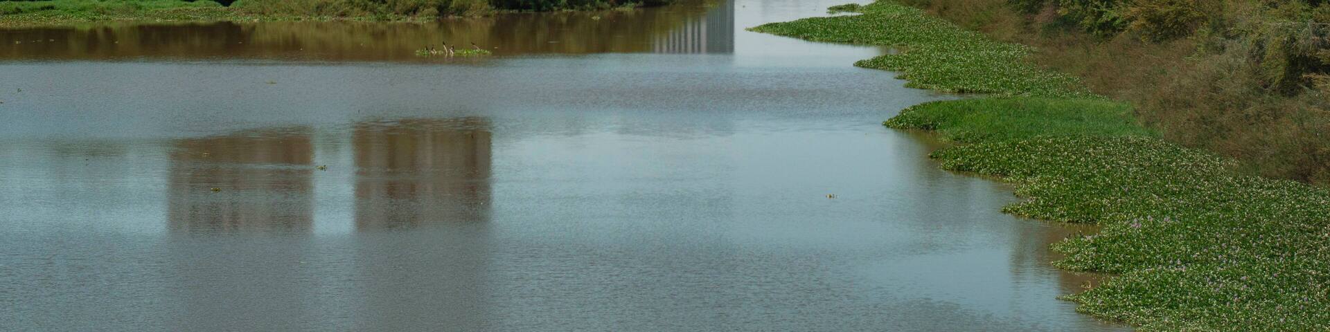 Desarrollo inmobiliario y zona comercial a orilla de Río Humaya en Culiacán, Sinaloa, México.