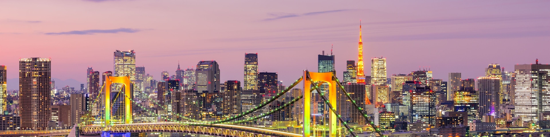 Tokyo, Japan skyline with Rainbow Bridge and Tokyo Tower.; Shutterstock ID 374552284; Purchase Order: -