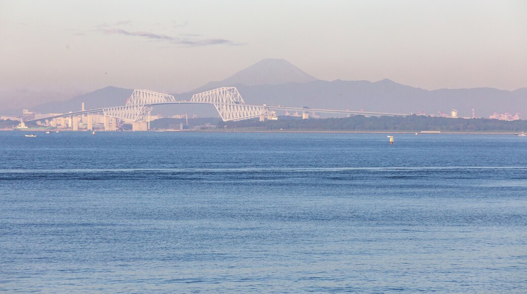 EyeEm Custom Shoots Q4 2018