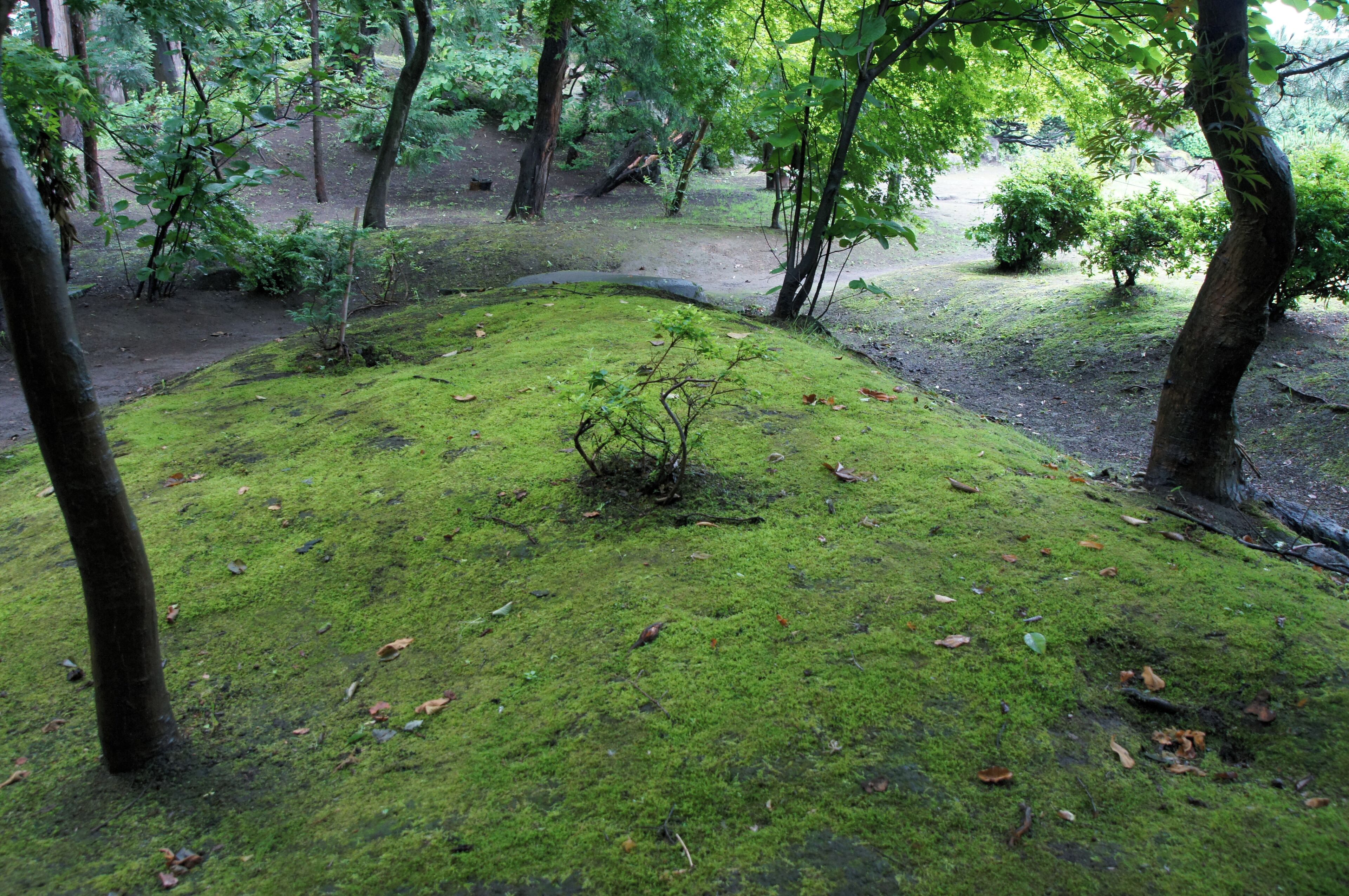 Seibi-en in Hirakawa, Aomori prefecture, Japan