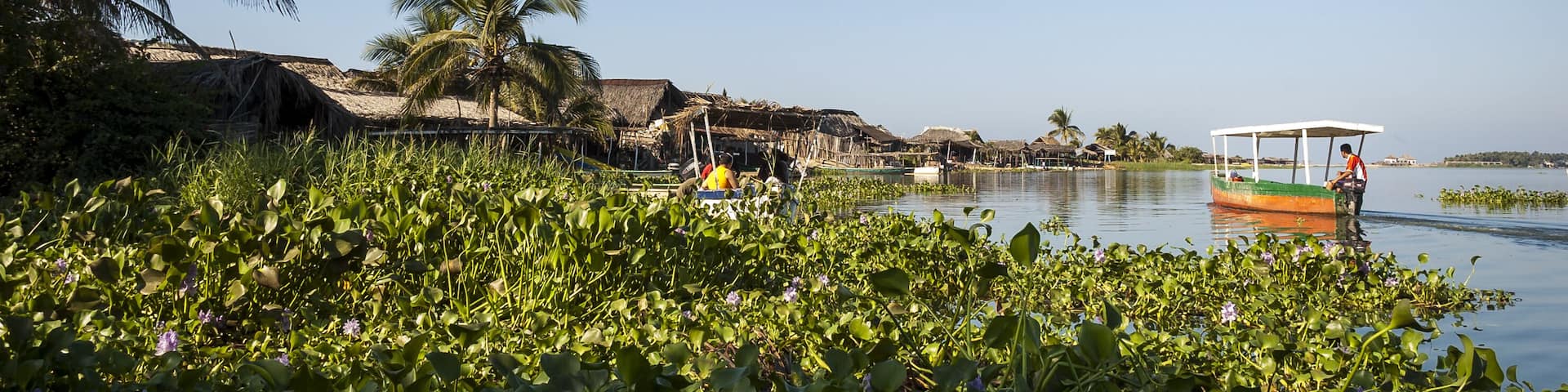 Coyuca lagoon in the Mexican state of Guerrero.; Shutterstock ID 752557675; Purchase Order: -