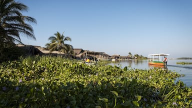Coyuca lagoon in the Mexican state of Guerrero.; Shutterstock ID 752557675; Purchase Order: -