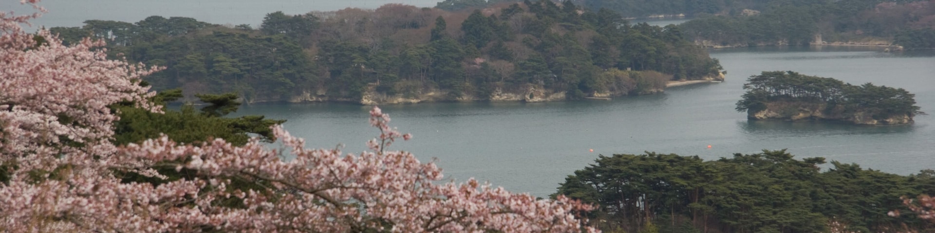 Saigyo Modoshi No Matsu