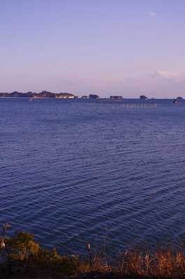 View from a cape in Matsushima gulf 小さな岬からの松島湾