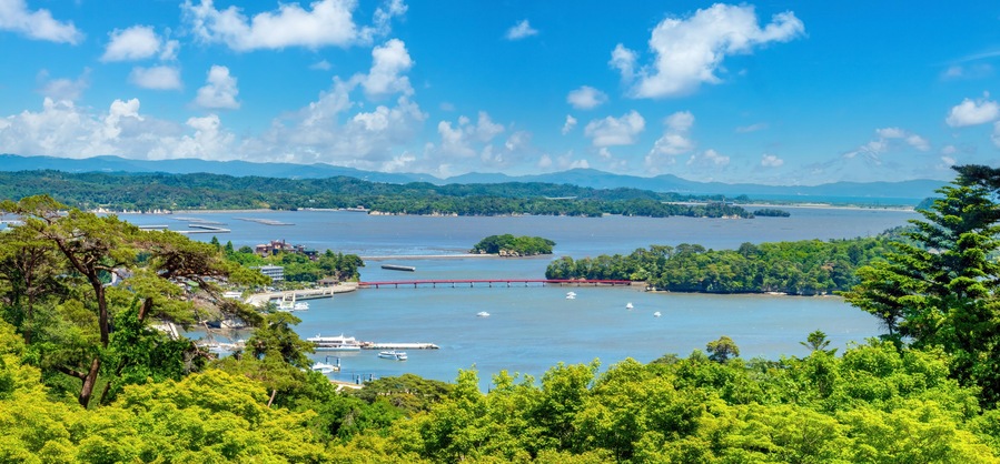 A coastal landscape with a bridge, boats, and lush greenery.