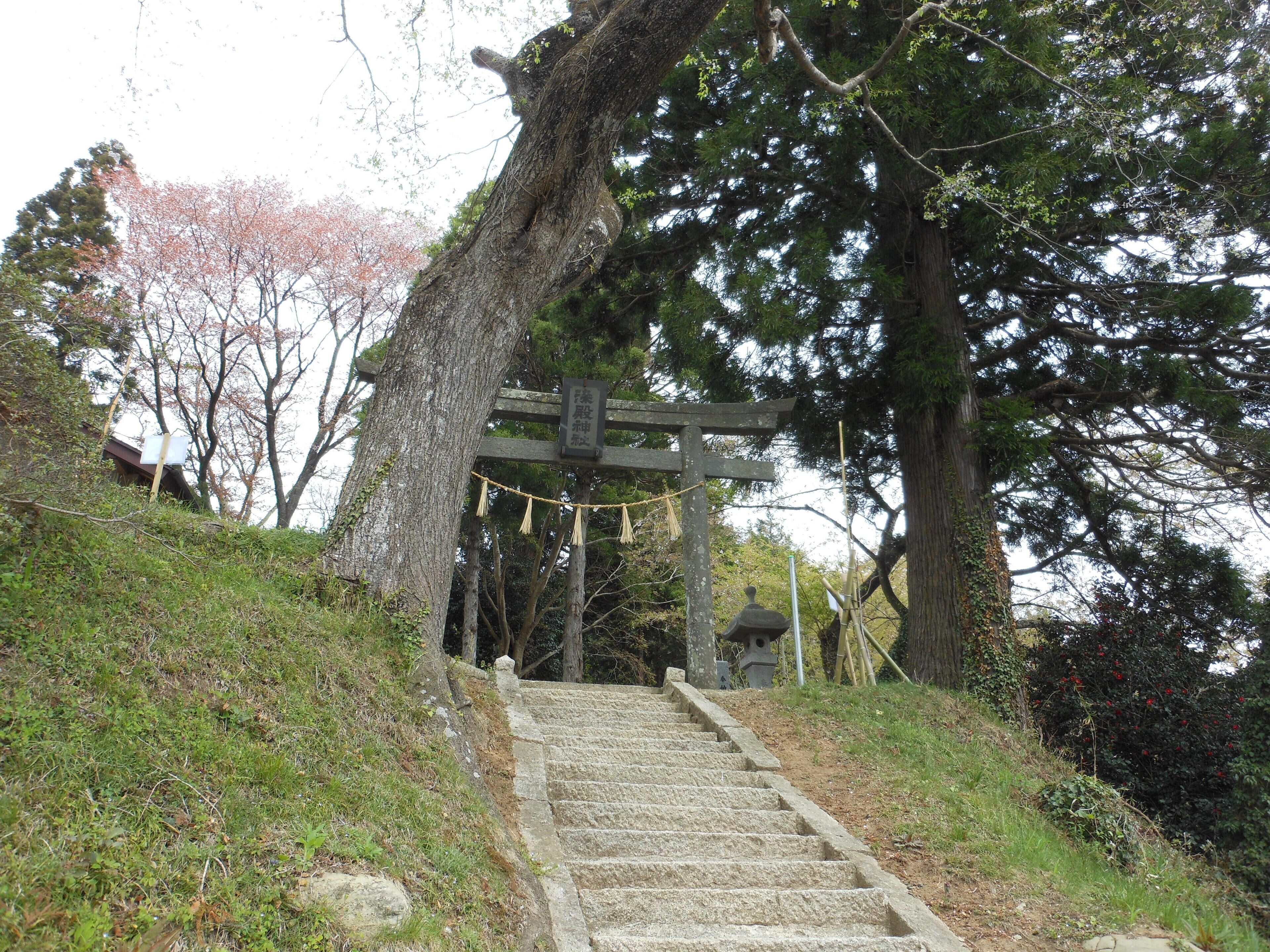 染殿神社 Somedono Shrine