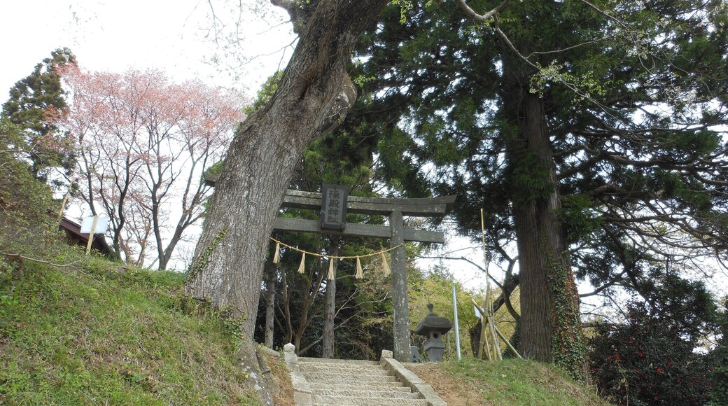 染殿神社 Somedono Shrine