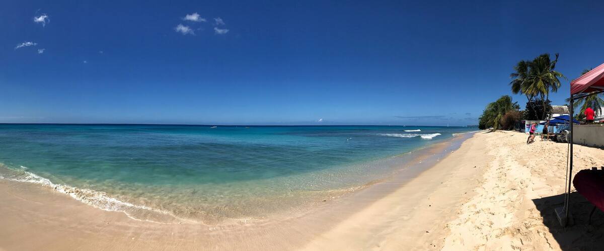 A beach with clear turquoise water, sandy shores, and palm trees.