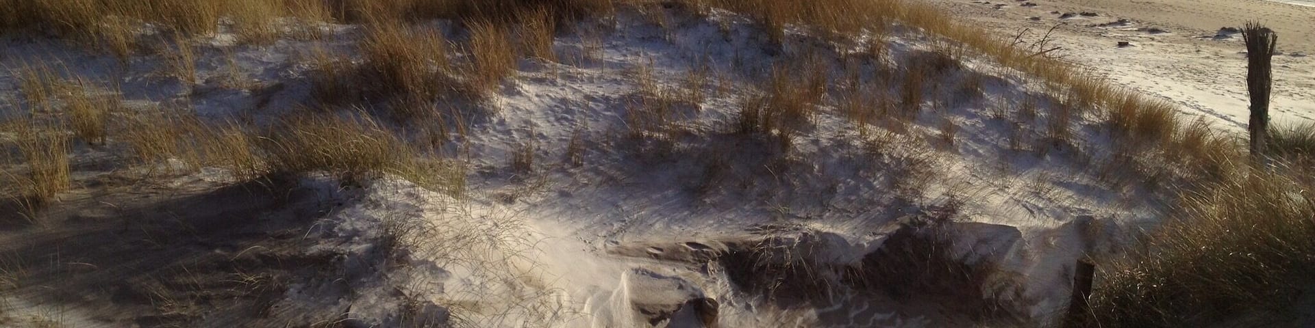 Germany's largest North Sea island
