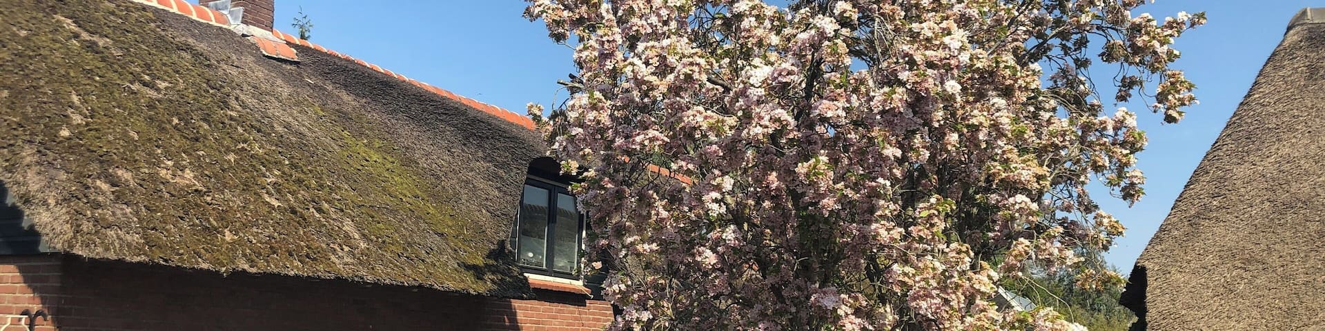 Beautiful Giethoorn ❤️ - the Venice from Netherlands