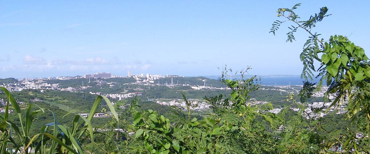 A cityscape with buildings and greenery.