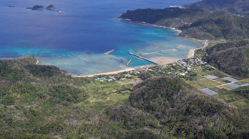 請島大山からの池地集落の眺め
