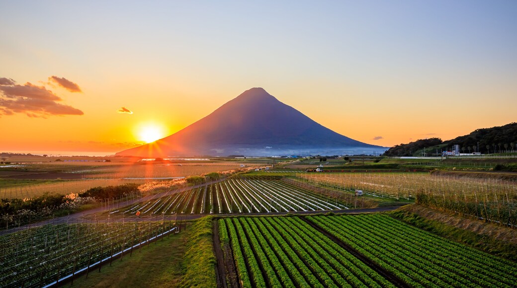 秋の開聞岳と指宿枕崎線と夕日 鹿児島県指宿市 Mt. Kaimondake, Ibusuki Makurazaki Line and sunset in autumn. Kagoshima Pref, Ibusuki City.