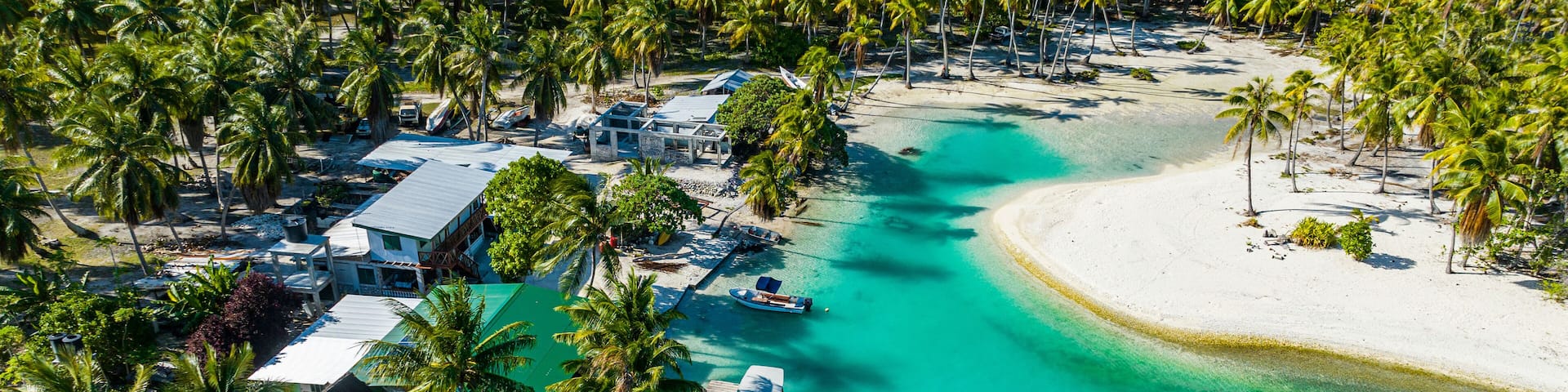 Aerial view of turquoise lagoon and palm trees at Rangiroa French Polynesia