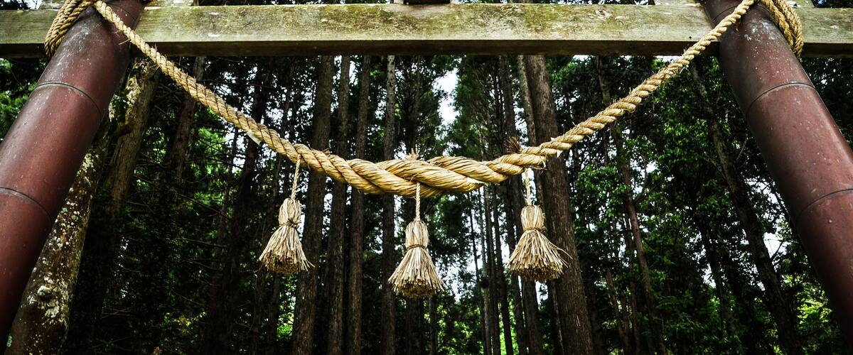 A wooden structure with ropes and tassels, surrounded by tall trees.