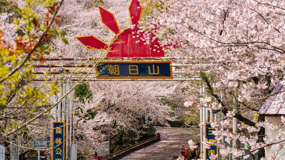 Mitoyo, Kagawa, Japan - April 9 2024 : Gate of Asahiyama Shinrin Park ( Mt. Asahi Forest Park ). Cherry blossoms in full bloom in Shikoku island.