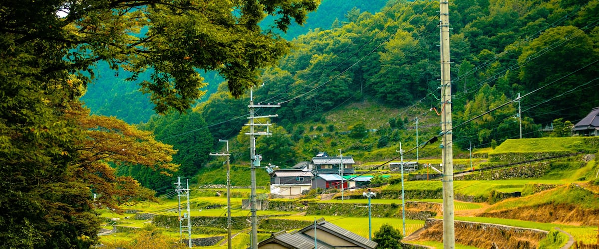 A winding road through terraced fields, traditional houses, and lush greenery.