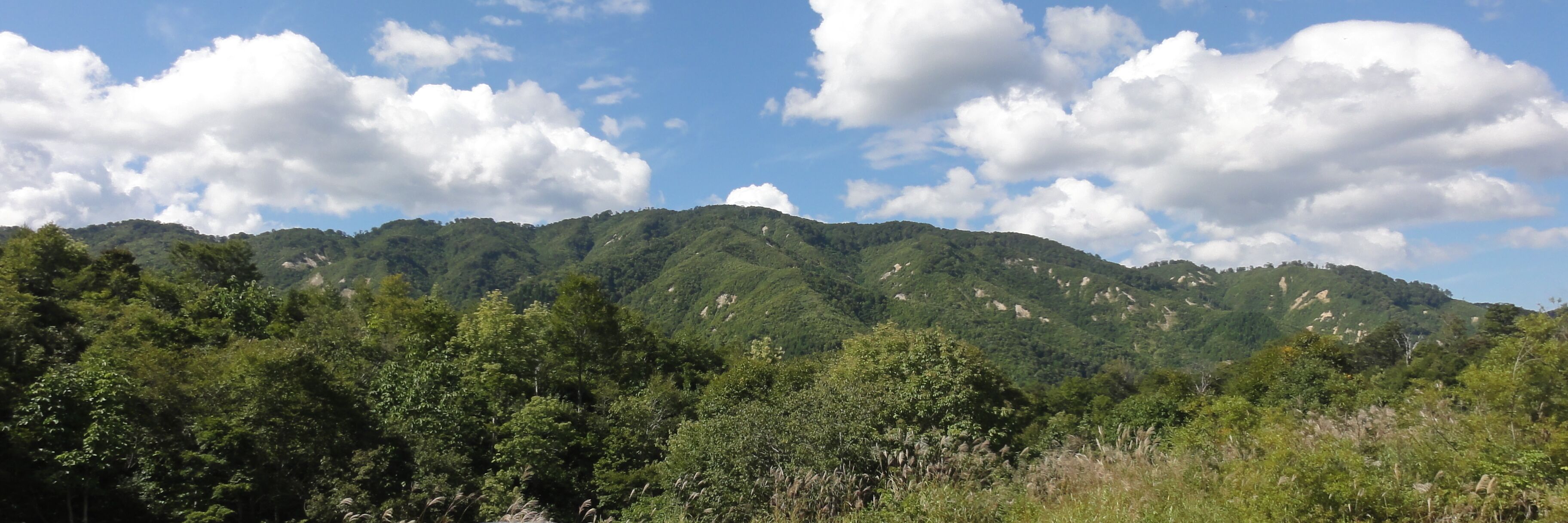 Una cordillera con densa vegetación forestal y nubes dispersas.