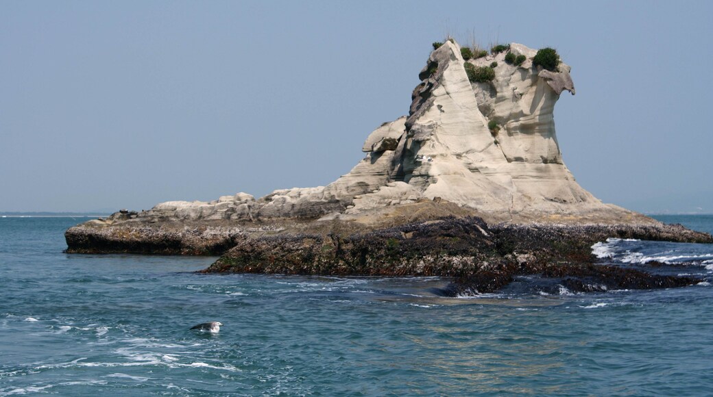 嵯峨渓アシカ島Asika-jima