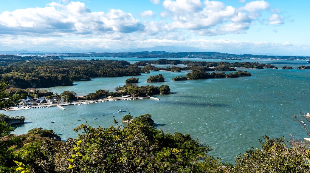 The bird's eye view of Miyato