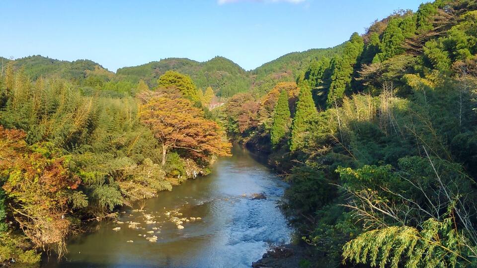 A river flowing through a forested valley with hills in the background.
