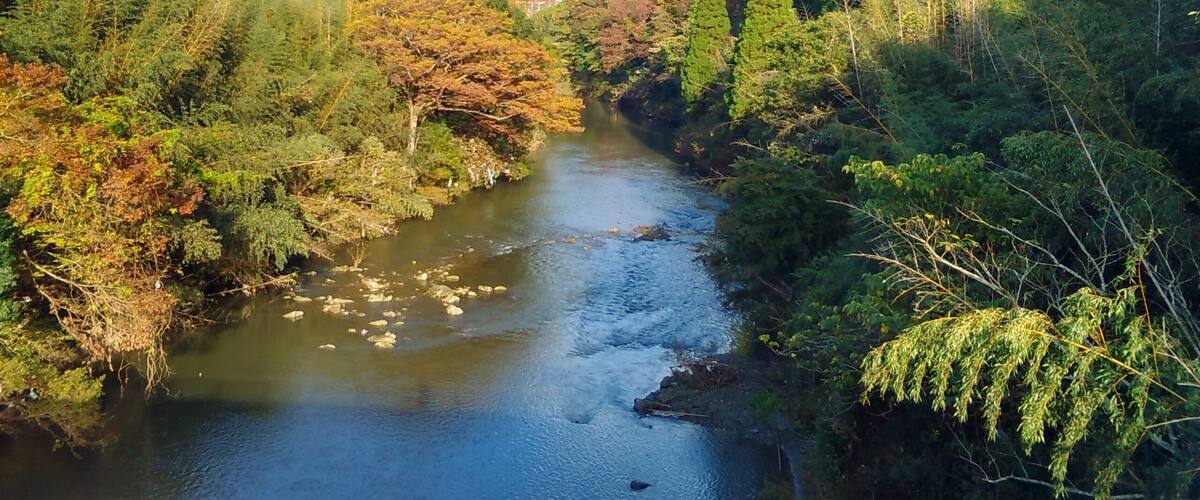 A river flowing through a forested valley with hills in the background.