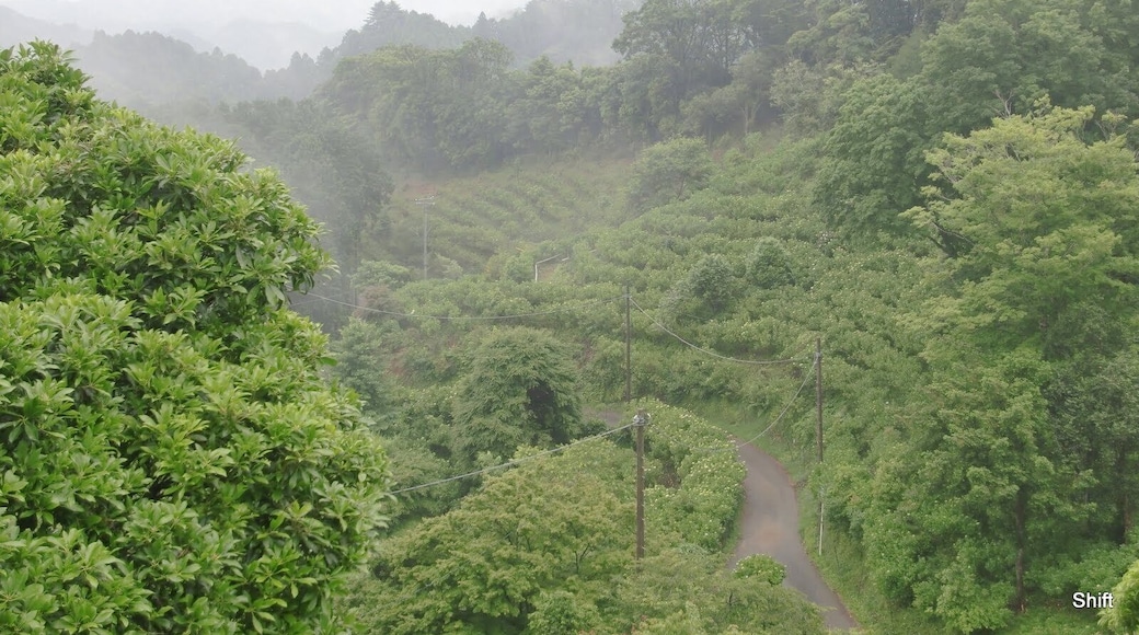 ์คํํค๋ง์น