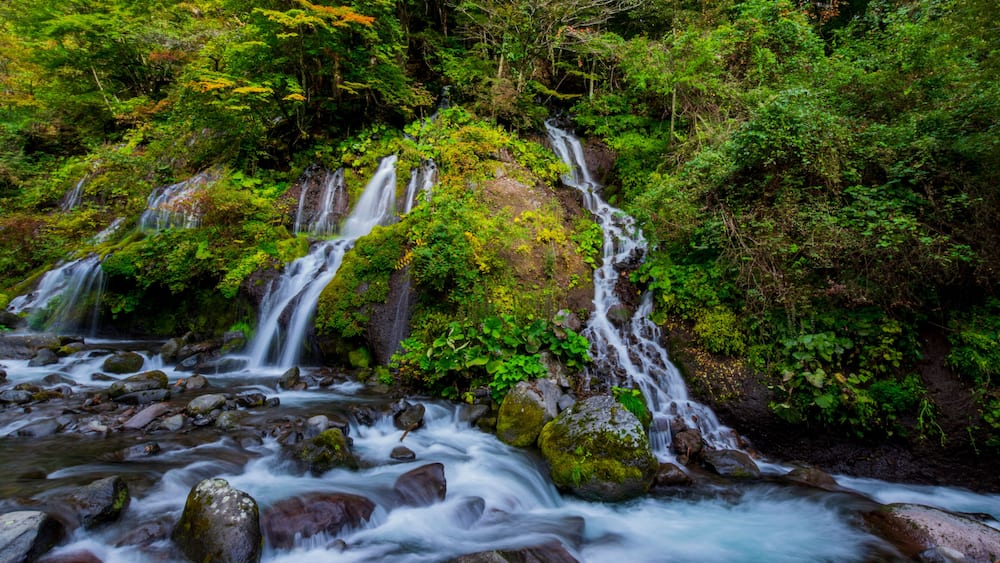 Ein mehrstufiger Wasserfall, umgeben von üppigem Grün.