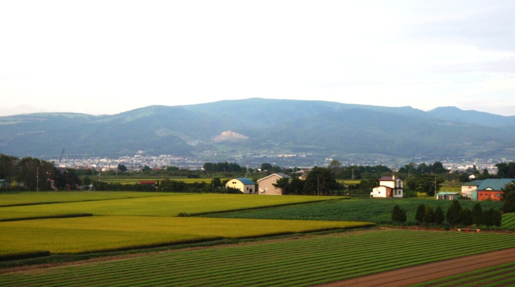北斗中央IC付近から見た横津岳