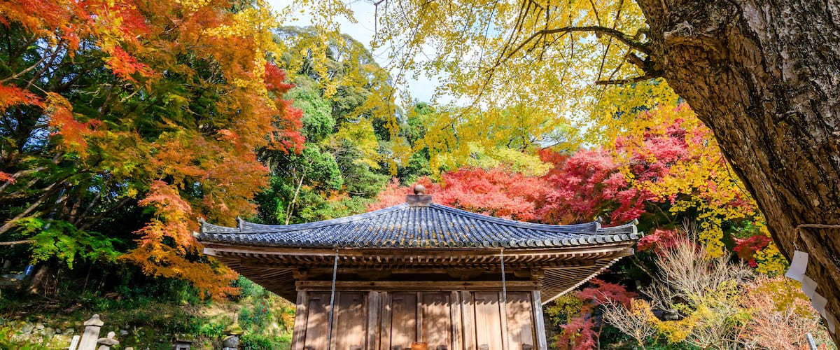 Ein traditionelles japanisches Pavillon, umgeben von Herbstlaub.