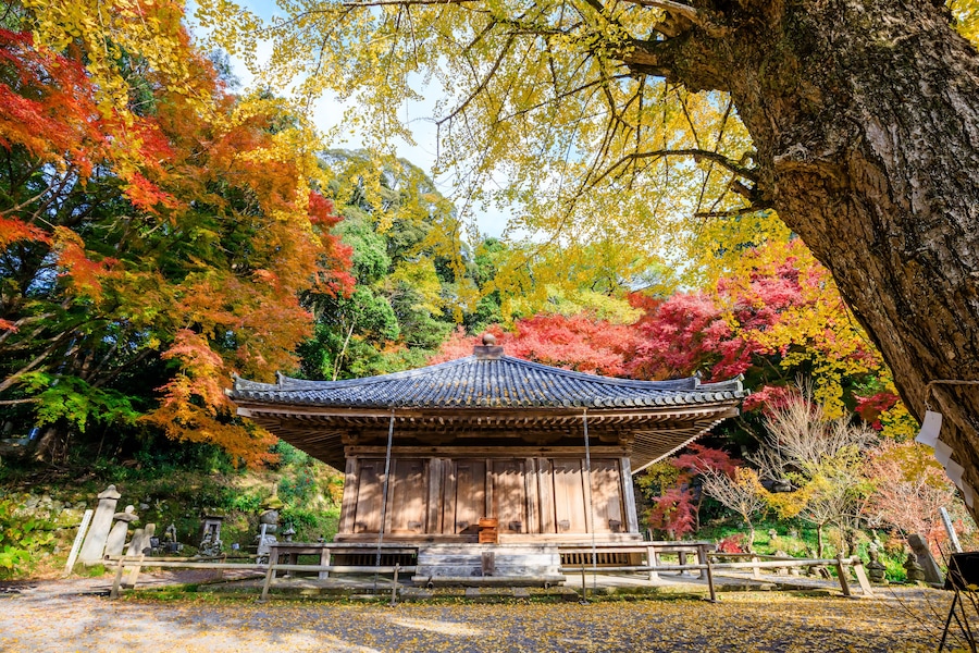 Un pabellón japonés tradicional rodeado de follaje otoñal.