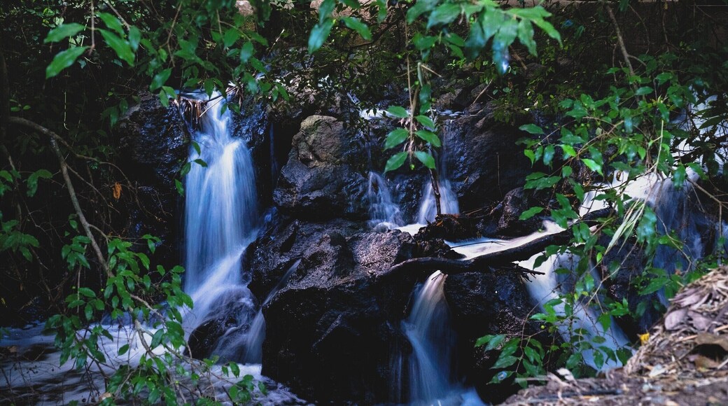 Exploring the place, guided by the sound of the river, I found this tiny waterfall hiding behind some trees. Shot was taken handheld.