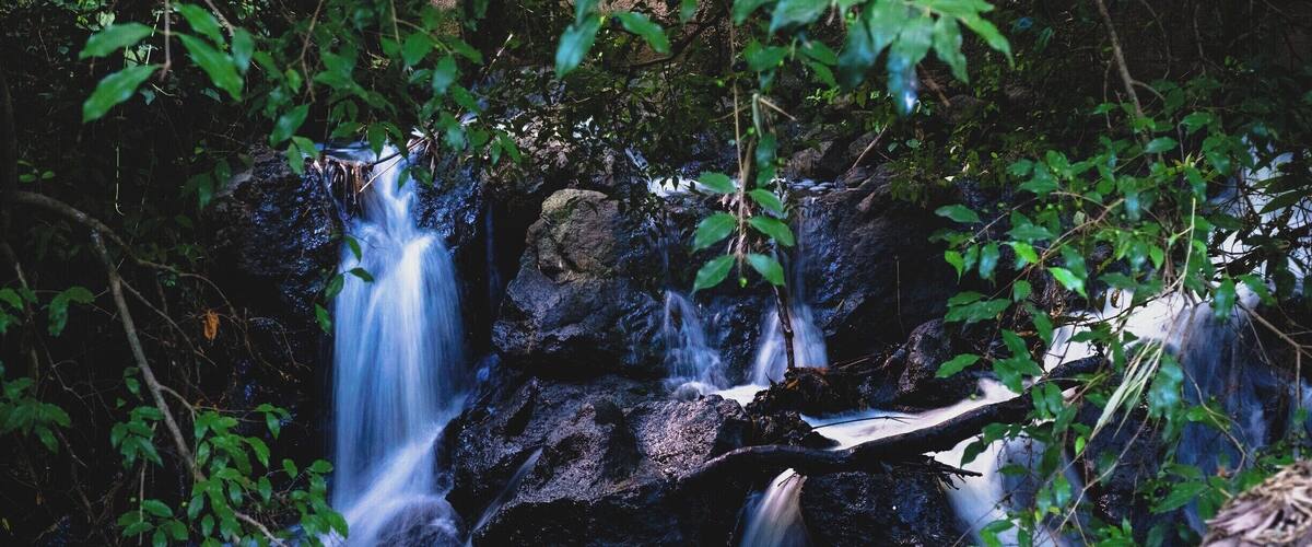A waterfall cascading over rocks in a forested area.