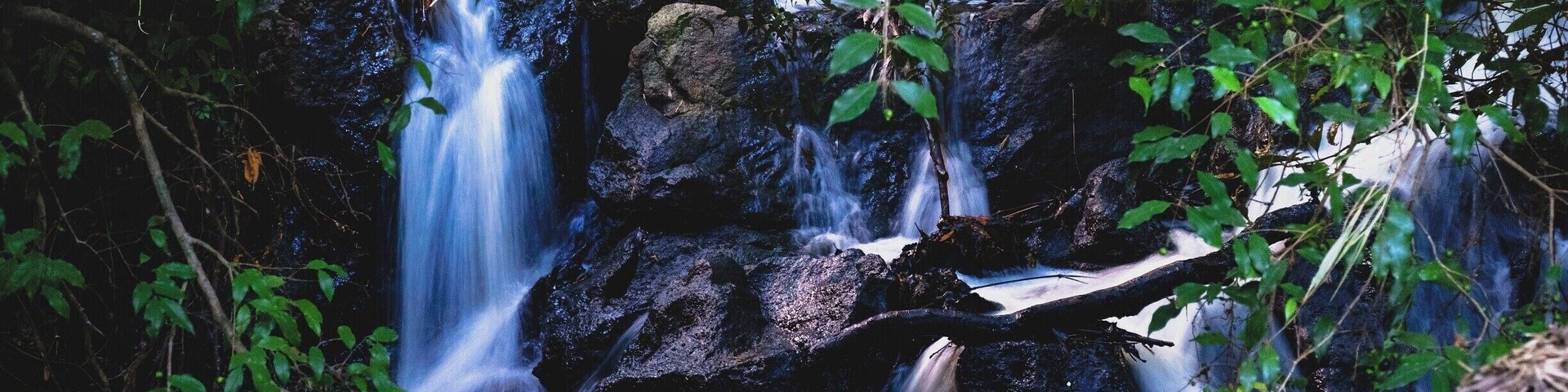 A waterfall cascading over rocks in a forested area.
