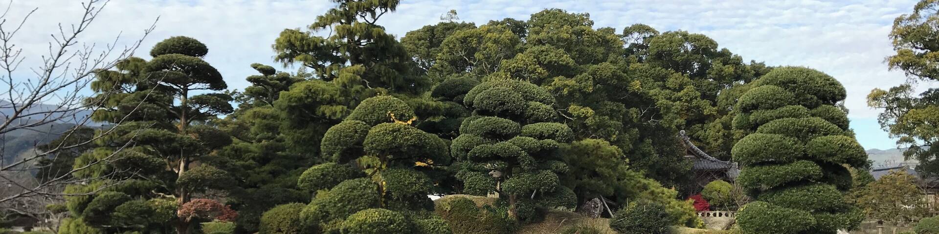 小城公園の心字池