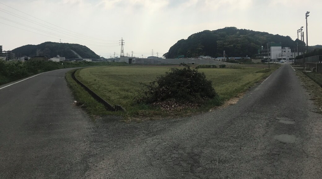 中部消防署付近より望む丸山