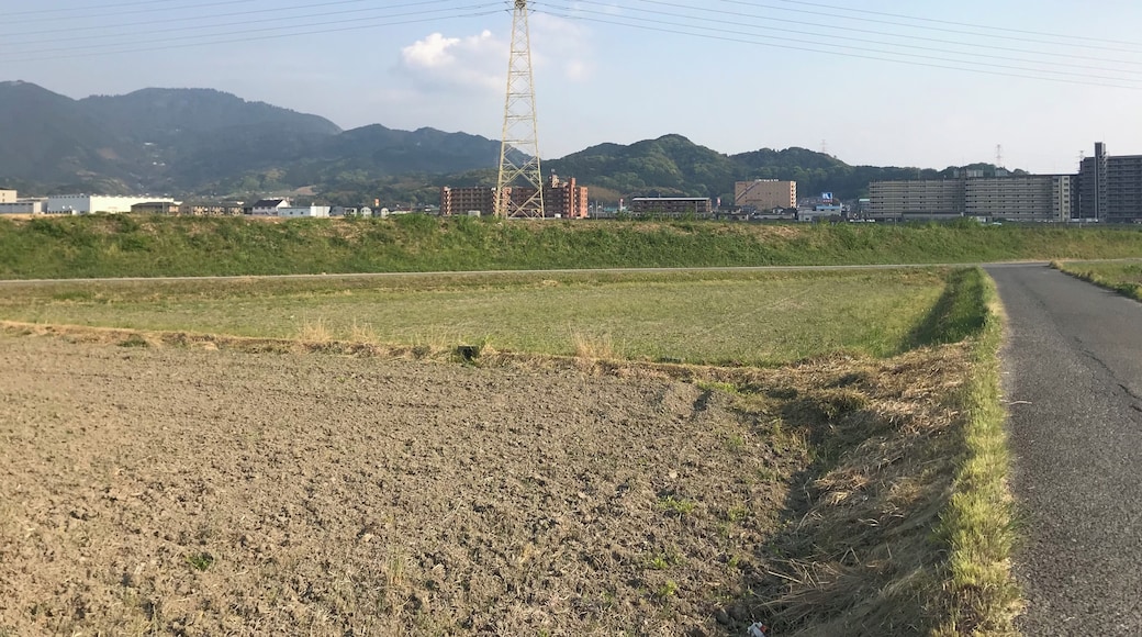 中部消防署付近の景色