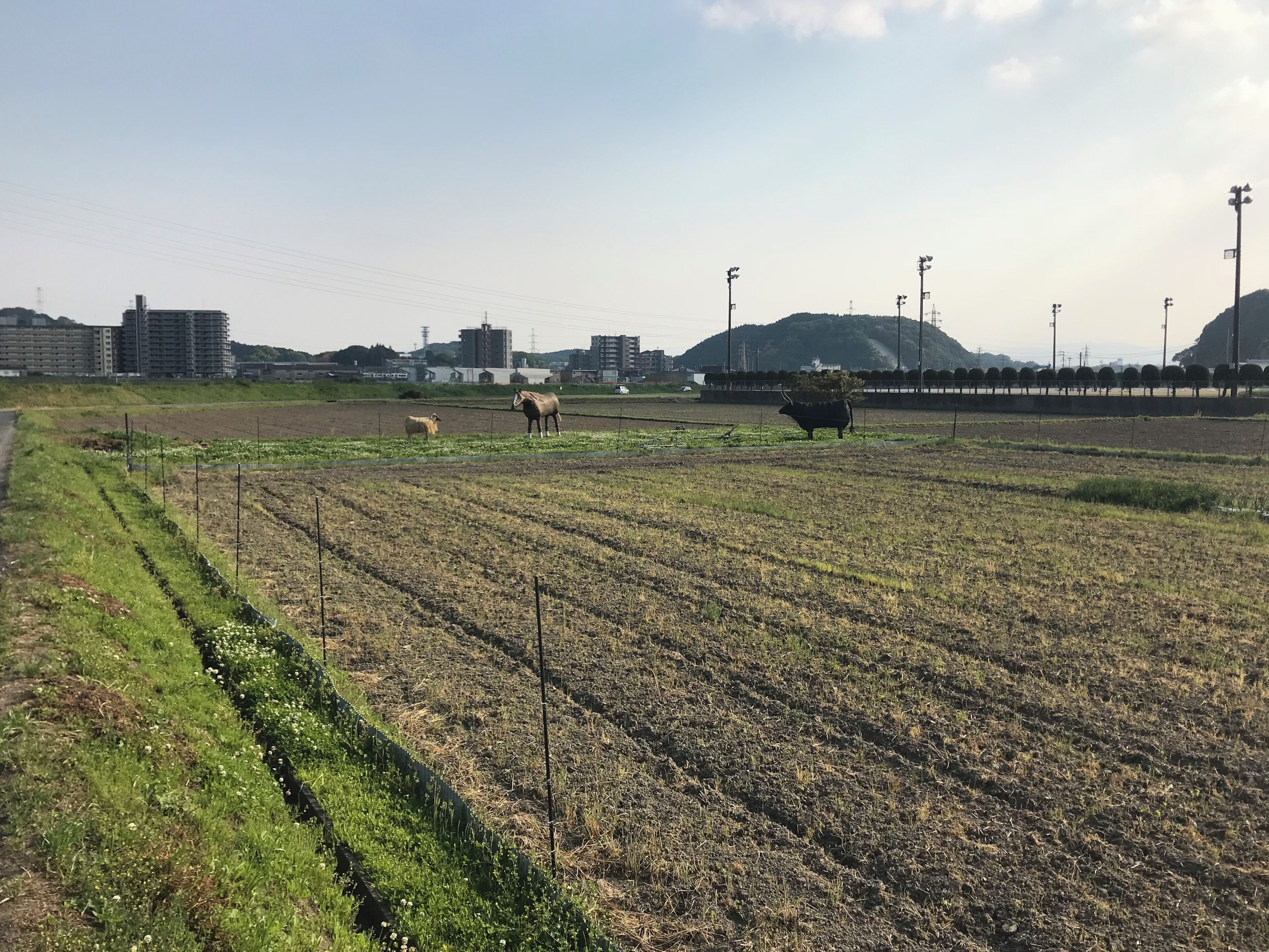 中部消防署付近の景色