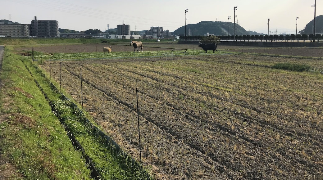 中部消防署付近の景色