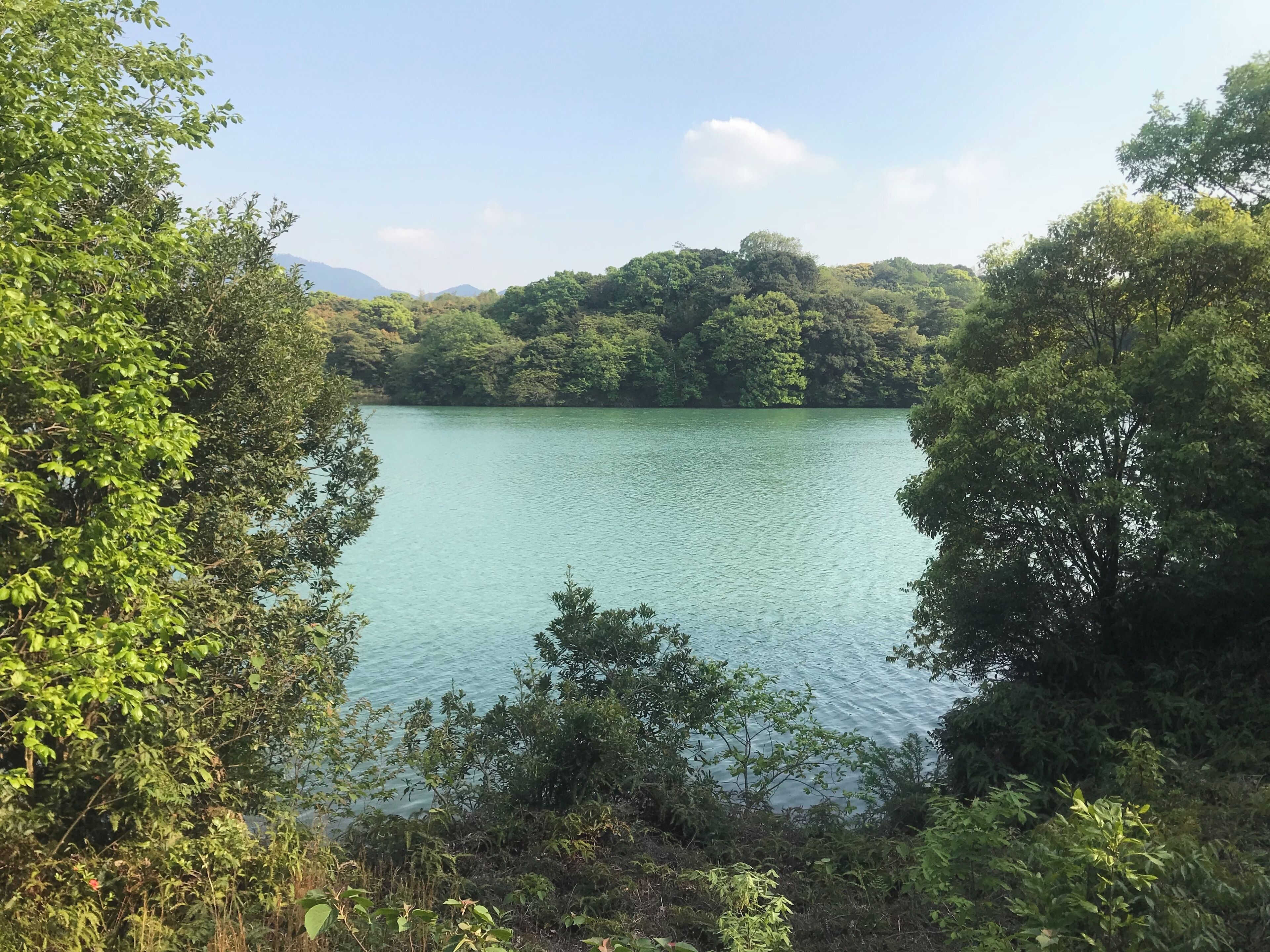 篠栗九大の森・蒲田池